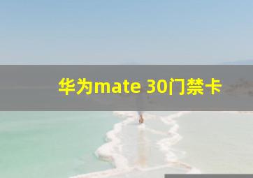 华为mate 30门禁卡